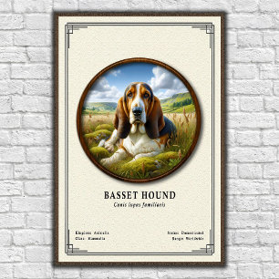 Basset Hound Zoology Series Poster