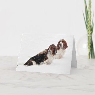"Basset Hounds in the Wild" series greeting cards