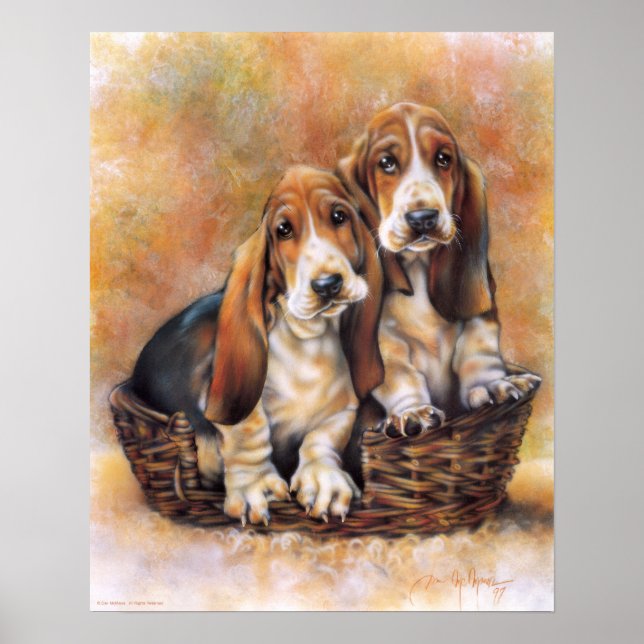 Basset Hounds Poster (Front)