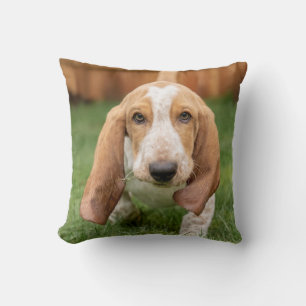 Basset Houng Puppy Walking Cushion