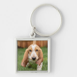 Basset Houng Puppy Walking Key Ring