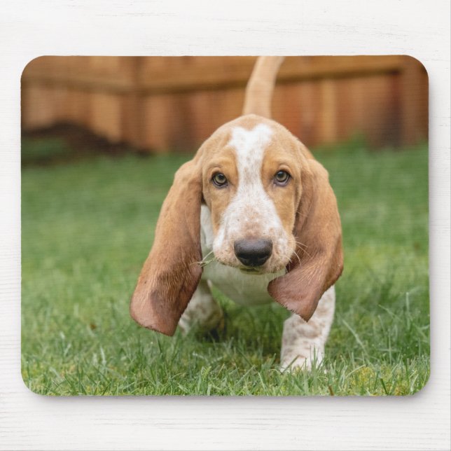 Basset Houng Puppy Walking Mouse Pad (Front)