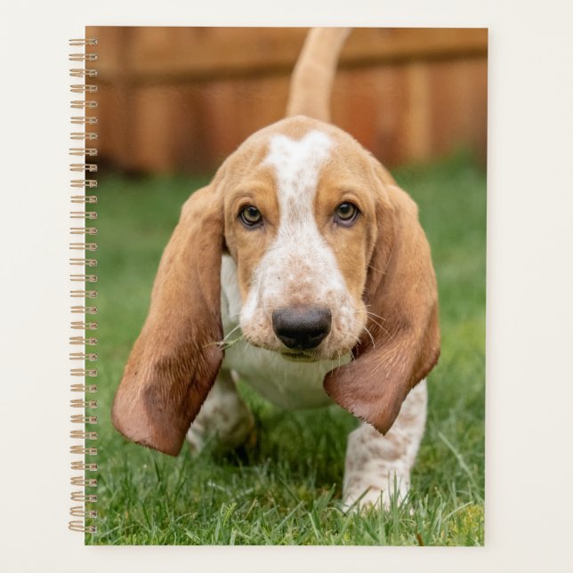 Basset Houng Puppy Walking Planner (Front)