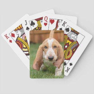 Basset Houng Puppy Walking Playing Cards