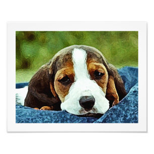 Basset Puppy Resting - Brown Black and White Photo Print