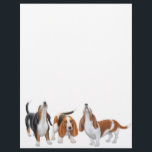 Basset Trio Letterhead<br><div class="desc">Original fine art design of a howling tricolored Basset hound by designer Carolyn McFann on quality cards,  stationery,  clothing & other great gifts for dog lovers.</div>