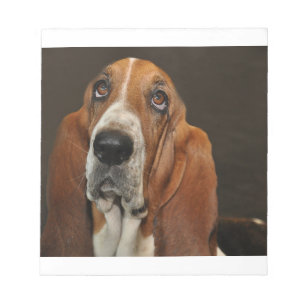 bassett hound 2 notepad