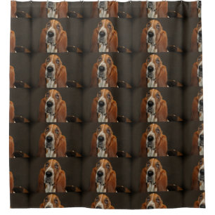 bassett hound 2 shower curtain