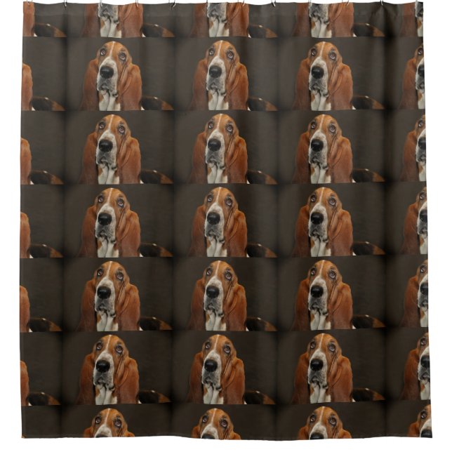 bassett hound 2 shower curtain (Front)