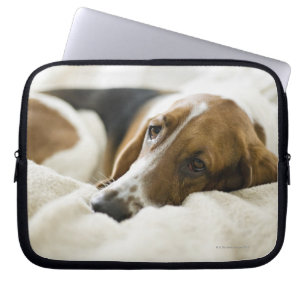 Bassett Hound Laptop Sleeve
