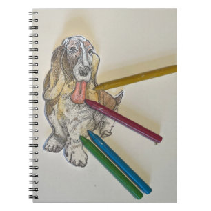 Bassie Journal