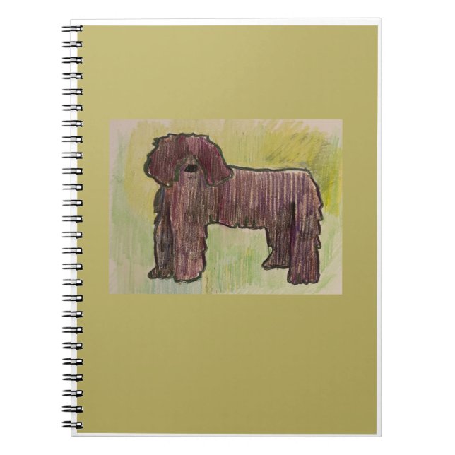 Bassie's Note Books (Front)