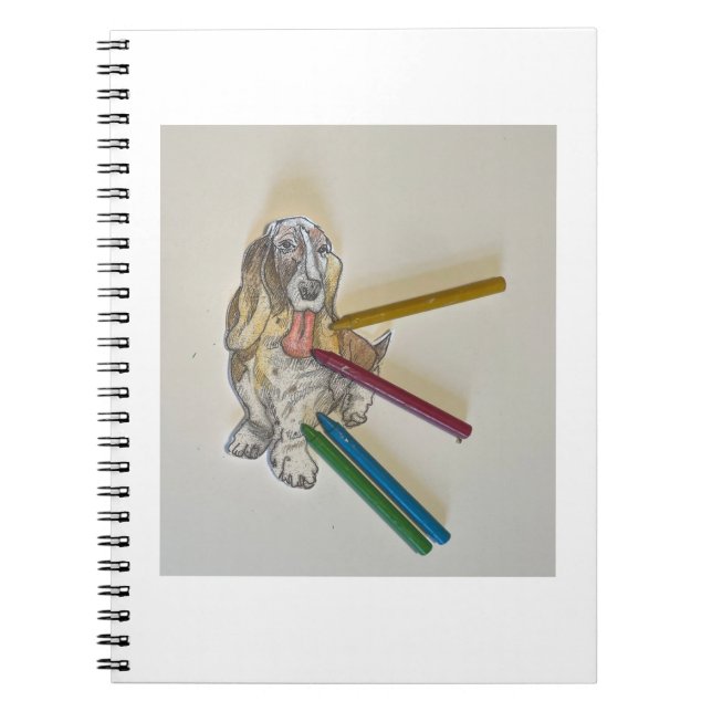 Bassie's Note Books (Front)