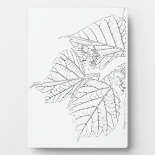 Basswood Leaves Plaque