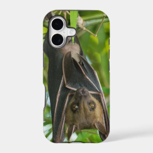 Bat