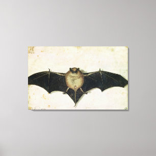 Bat, 1522 canvas print