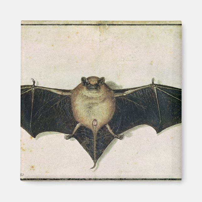 Bat, 1522 magnet (Front)