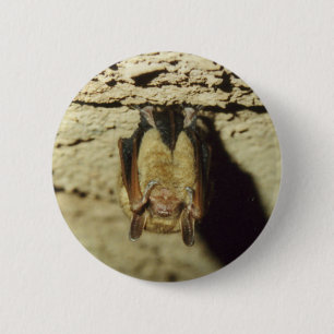 Bat 6 Cm Round Badge