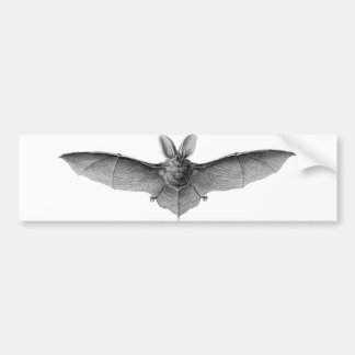 Bat Bumper Sticker