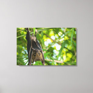 Bat Canvas Print
