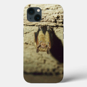 Bat iPhone 13 Case