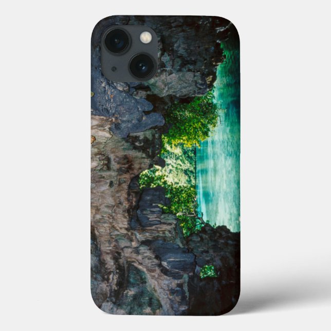 Bat Cave In Airai, Palau, Micronesia Case-Mate iPhone Case (Back)