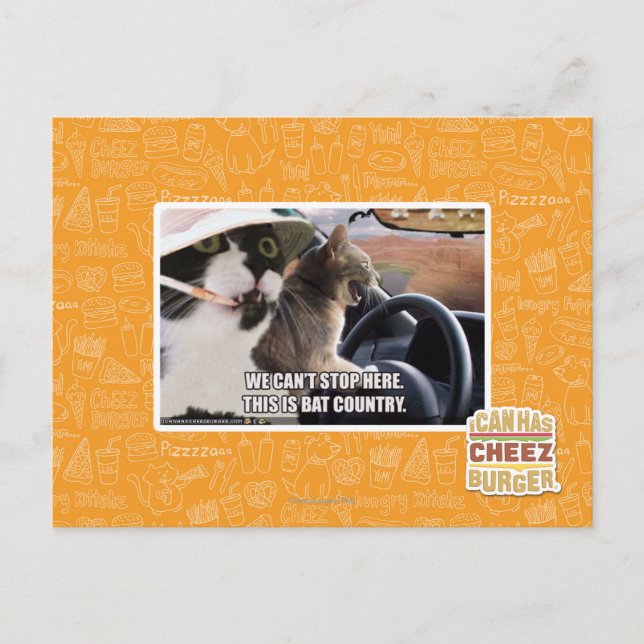 Bat country postcard (Front)