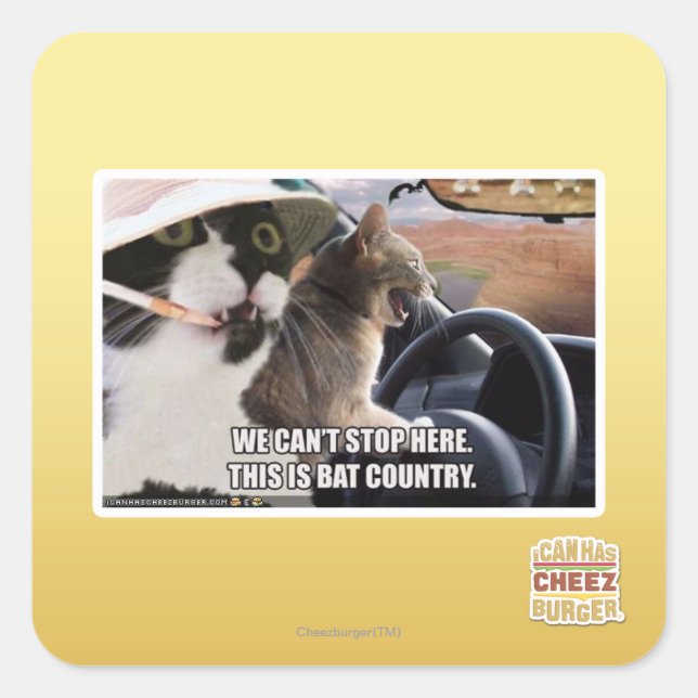 Bat country square sticker (Front)