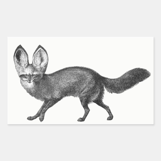 Bat Eared Fox Stickers (Front)
