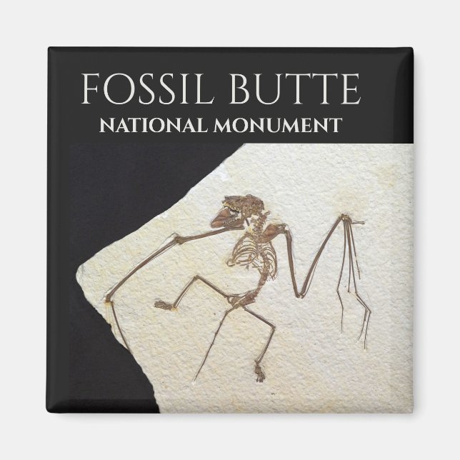 Bat Fossil, Fossil Butte National Monument Magnet (Front)