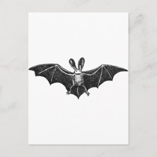 Bat illustration postcard