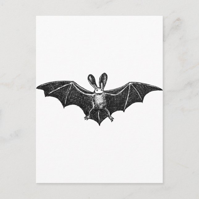 Bat illustration postcard (Front)