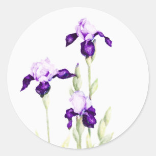 Bat Mitzvah Purple Irises Classic Round Sticker