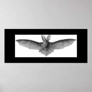 BAT POSTER