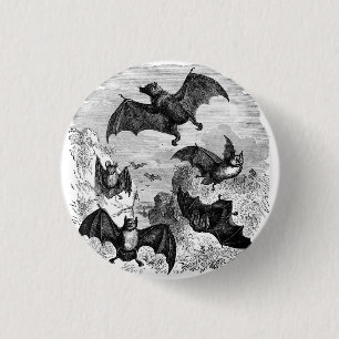 Bat Sketch 3 Cm Round Badge