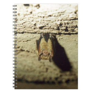 Bat Spiral Notebook