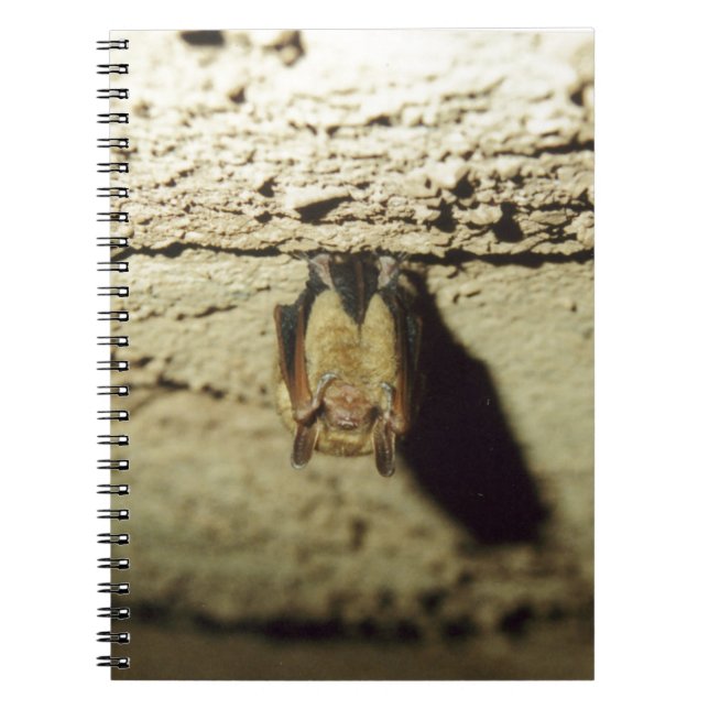 Bat Spiral Notebook (Front)