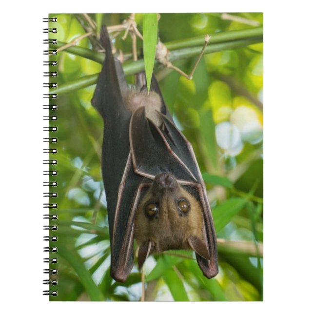 Bat Spiral Notebook (Front)