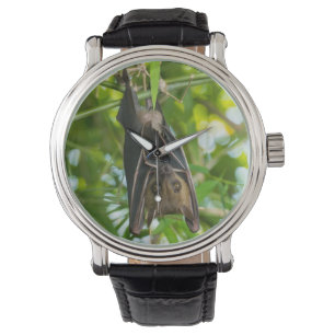 Bat Watch