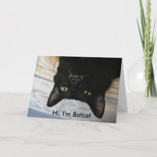 Batcat: Greeting card