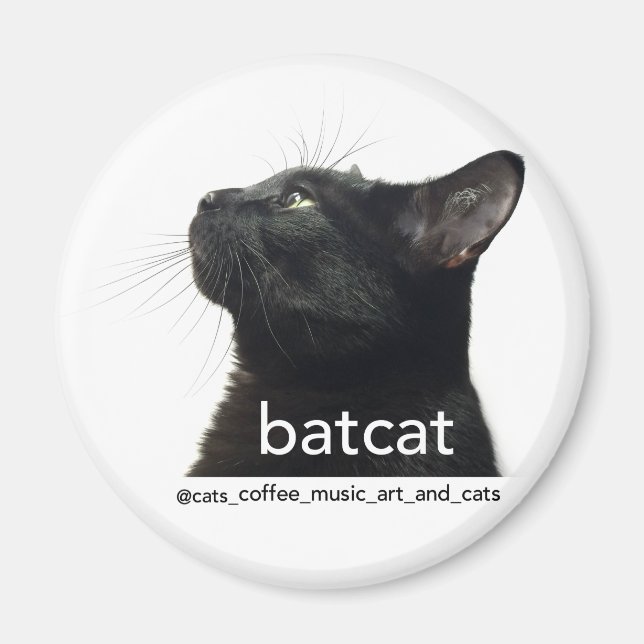 Batcat: Magnet (Front)
