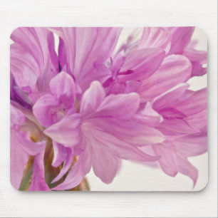 Batchelor Button Mouse Pad