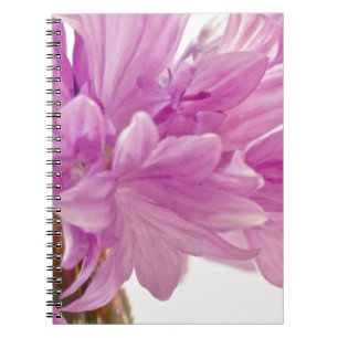 Batchelor Button Spiral Notebook