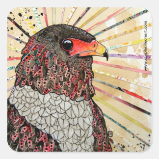 Bateleur Eagle Square Sticker