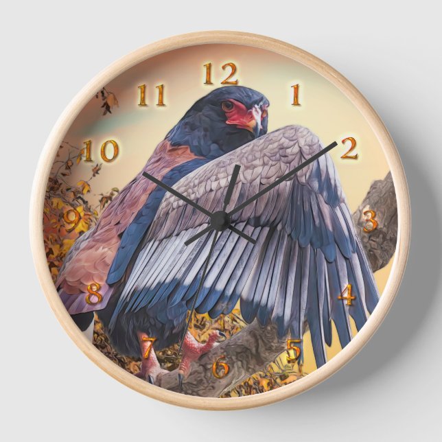 Bateleur Eagle "SUN DANCER" Clock (Front)