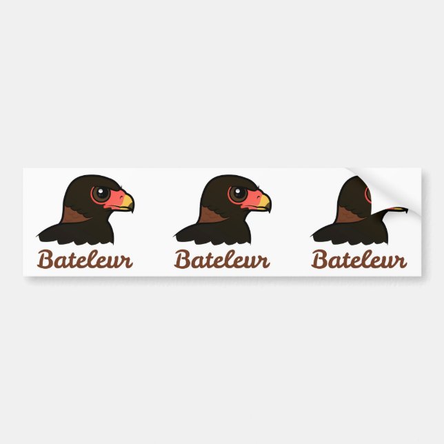 Bateleur Profile Bumper Sticker (Front)