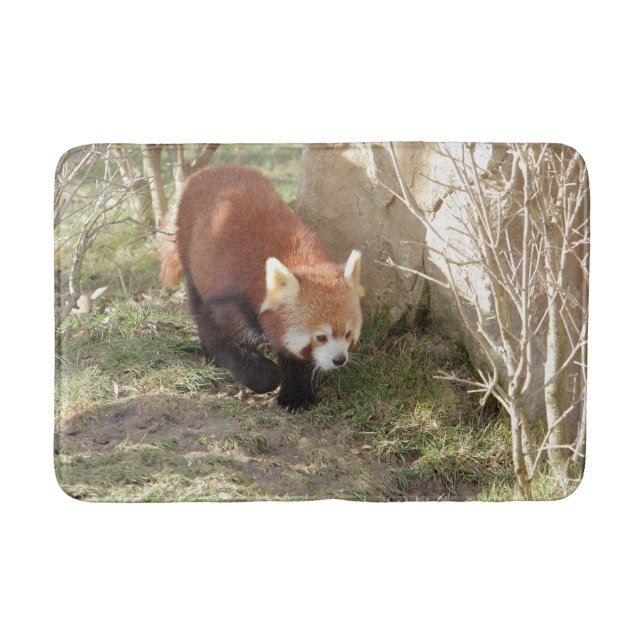 Bath Mat Photo red panda , animals 0126. (Front)