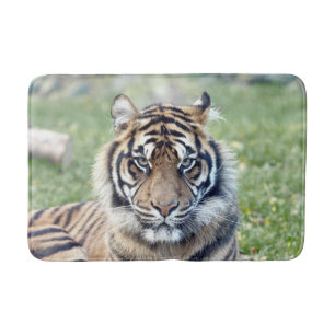 Bath Mat Photo tiger cat , animals.