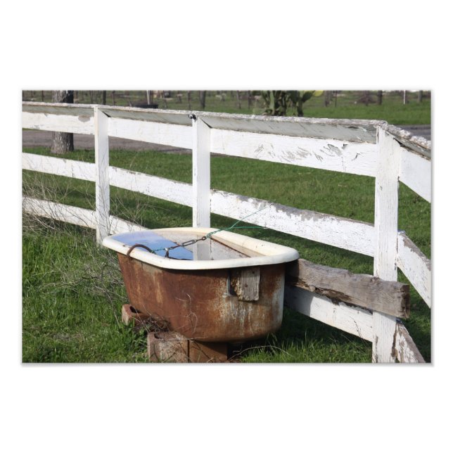Bath on the Farm Photo Print (Front)