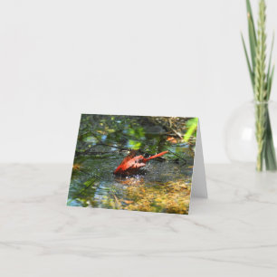Bath Time in Red Thank You Card